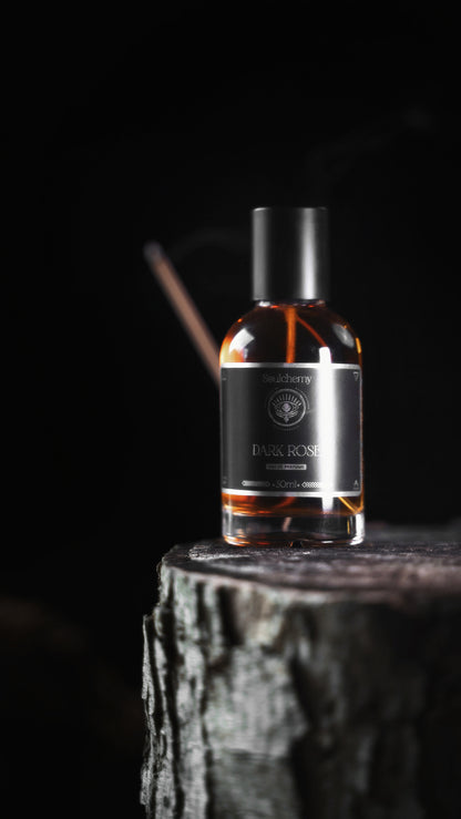 Dark Rose